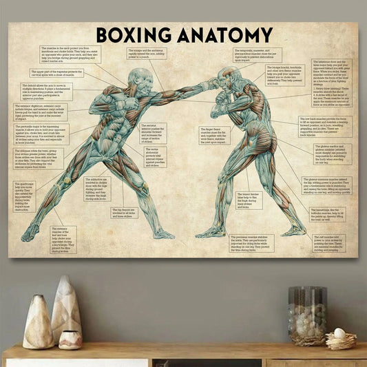 Vintage Boxing Body Anatomy Poster